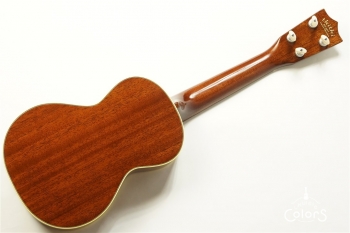 HM-C20 Concert -TR10th Anniversary Model- #361